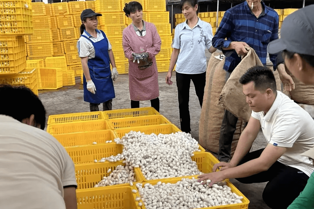 &#20048;&#31454;&#23448;&#32593;&#45;&#20048;&#31454;&#40;&#20013;&#22269;&#41;&#19968;&#31449;&#24335;&#20307;&#32946;&#26381;&#21153;